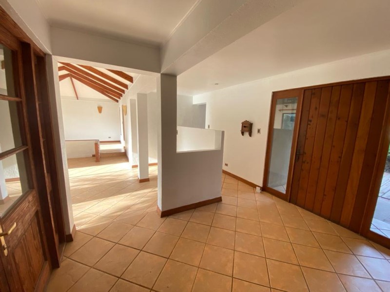 LATADIA / MANQUEHUE...&nbsp; &nbsp; &nbsp; &nbsp; &nbsp; &nbsp; &nbsp; &nbsp; &nbsp; &nbsp; &nbsp; &nbsp; &nbsp; &nbsp; &nbsp; &nbsp; &nbsp; &nbsp; &nbsp; &nbsp; &nbsp; &nbsp; &nbsp; &nbsp; &nbsp; &nbsp; &nbsp; &nbsp; &nbsp; &nbsp; &nbsp; 