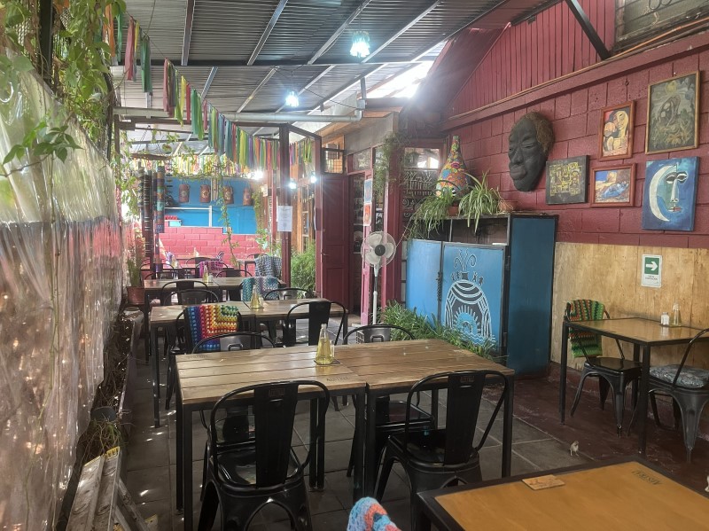 VICU�A MACKENNA ORIENTE FRENTE MALL PLAZA VESPUCIO...